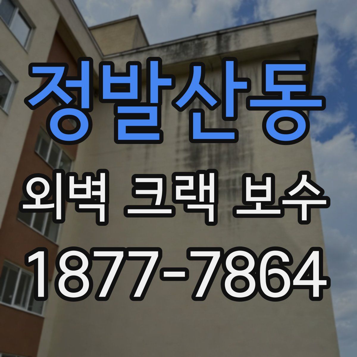 정발산동 외벽 크랙 보수
