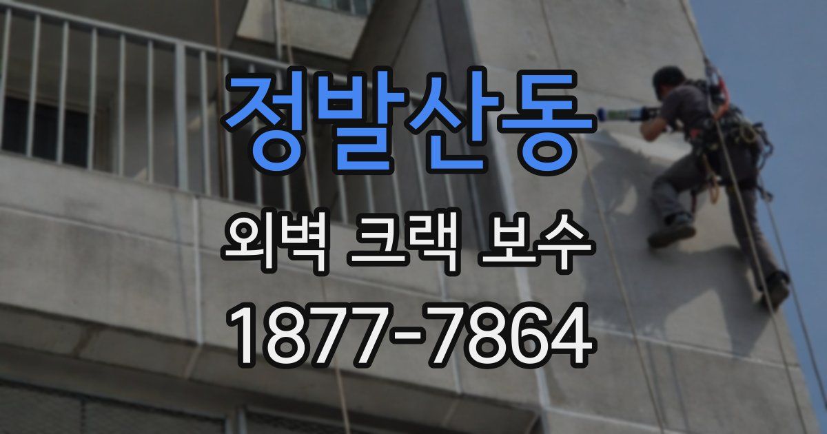 정발산동 외벽 크랙 보수