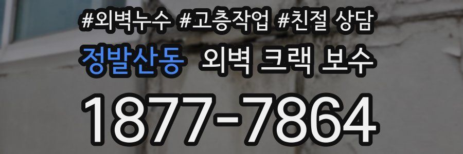정발산동 외벽 크랙 보수