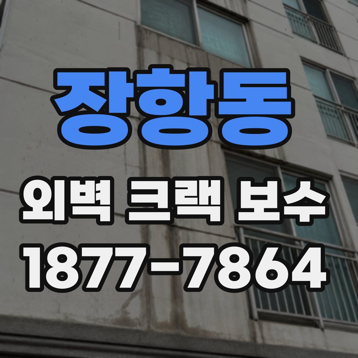장항동 외벽 크랙 보수