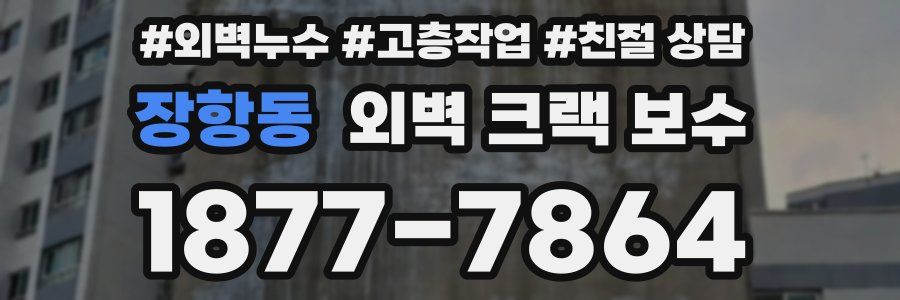 장항동 외벽 크랙 보수