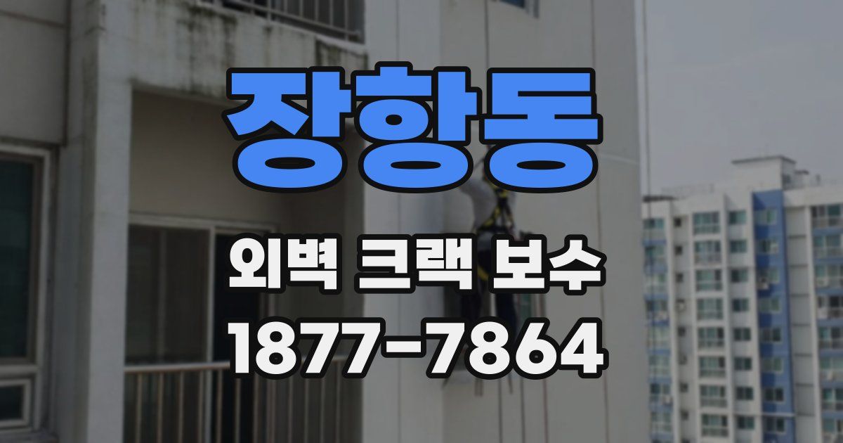 장항동 외벽 크랙 보수
