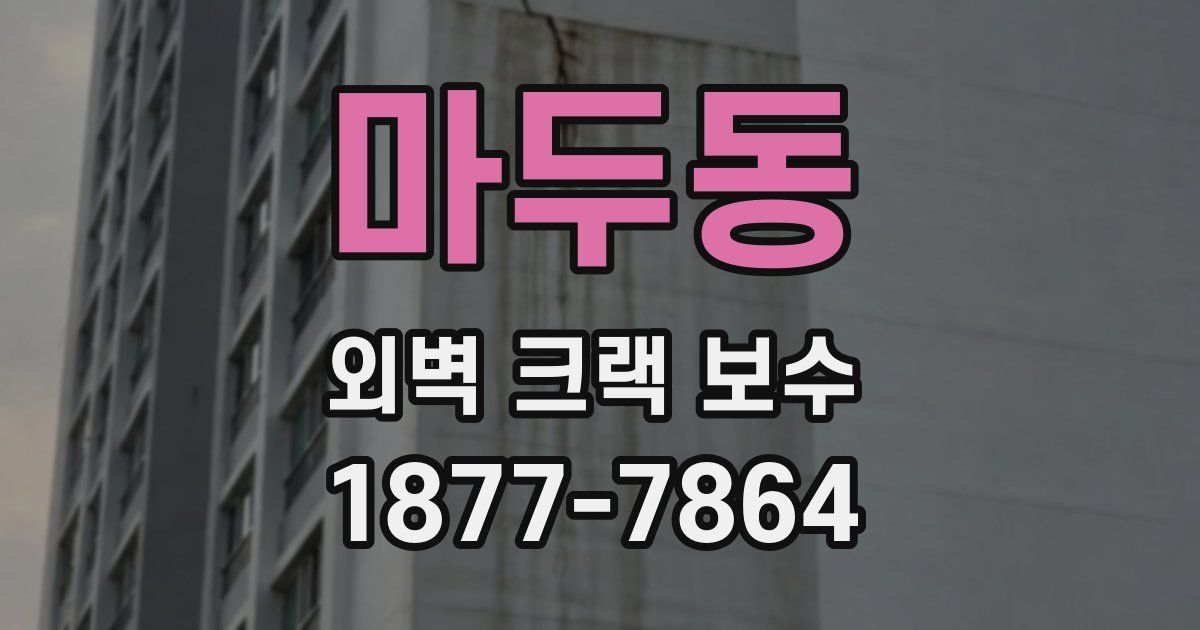 마두동 외벽 크랙 보수