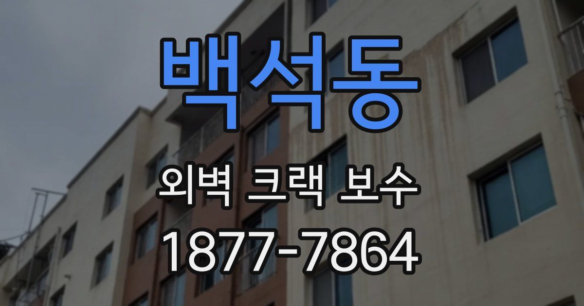 백석동 외벽 크랙 보수
