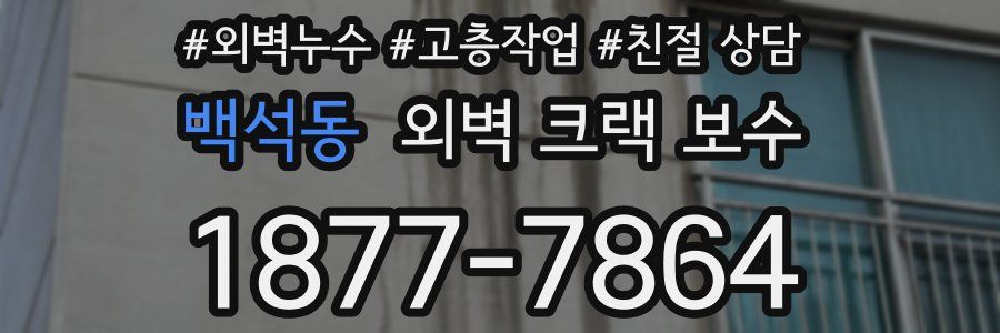 백석동 외벽 크랙 보수
