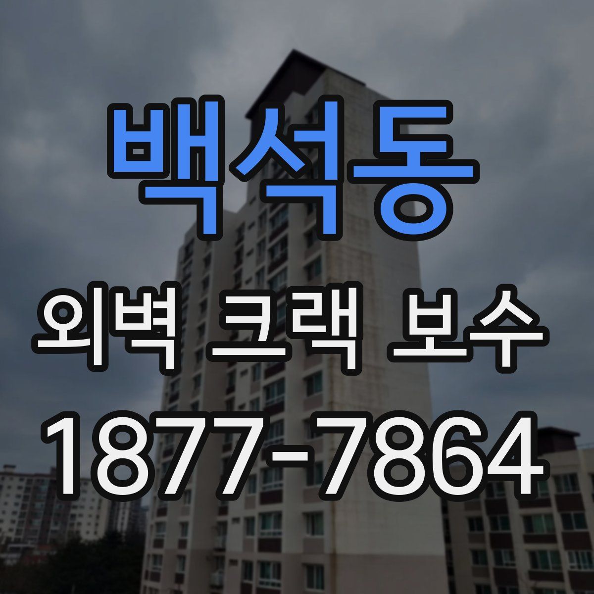 백석동 외벽 크랙 보수