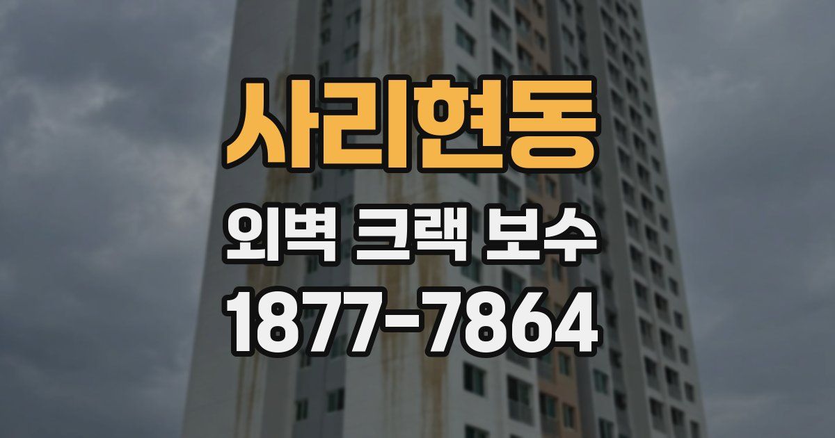 사리현동 외벽 크랙 보수