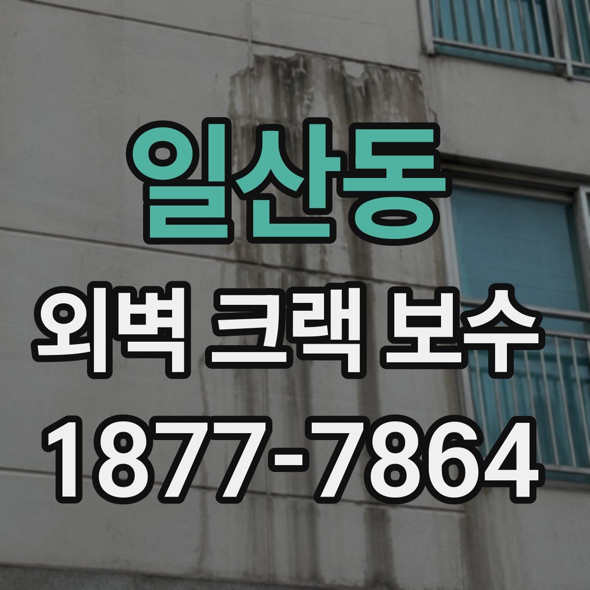 일산동 외벽 크랙 보수