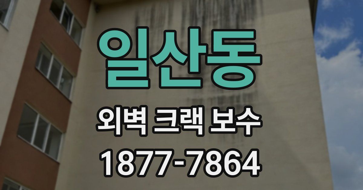 일산동 외벽 크랙 보수