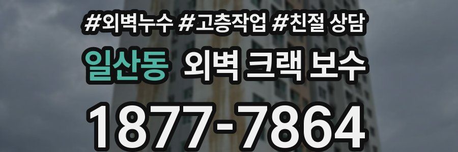 일산동 외벽 크랙 보수