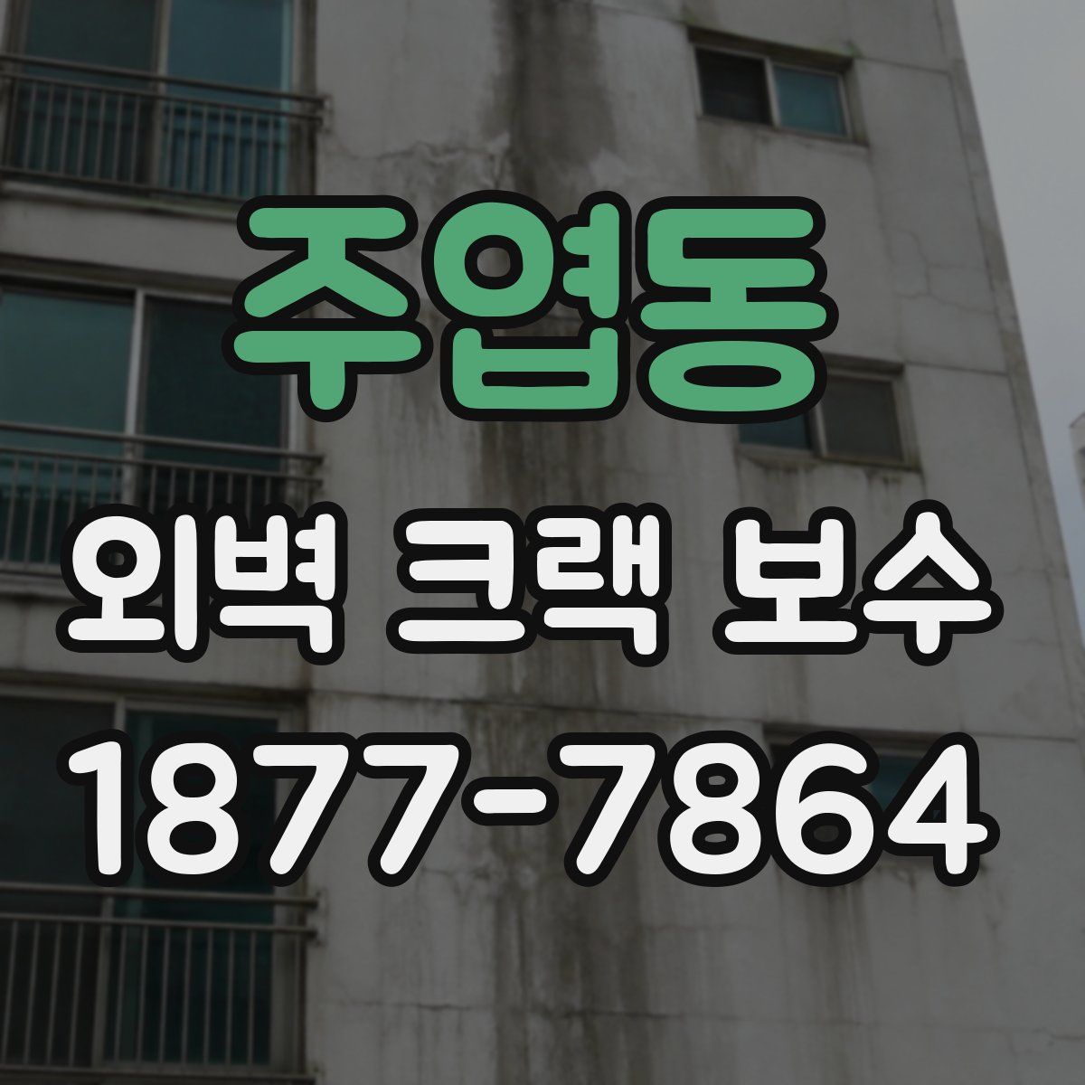 주엽동 외벽 크랙 보수