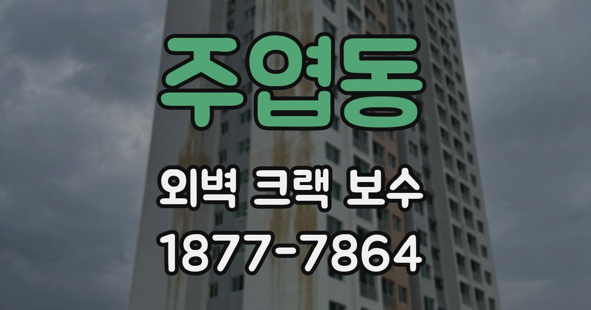 주엽동 외벽 크랙 보수