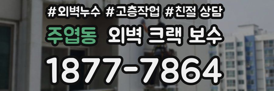 주엽동 외벽 크랙 보수