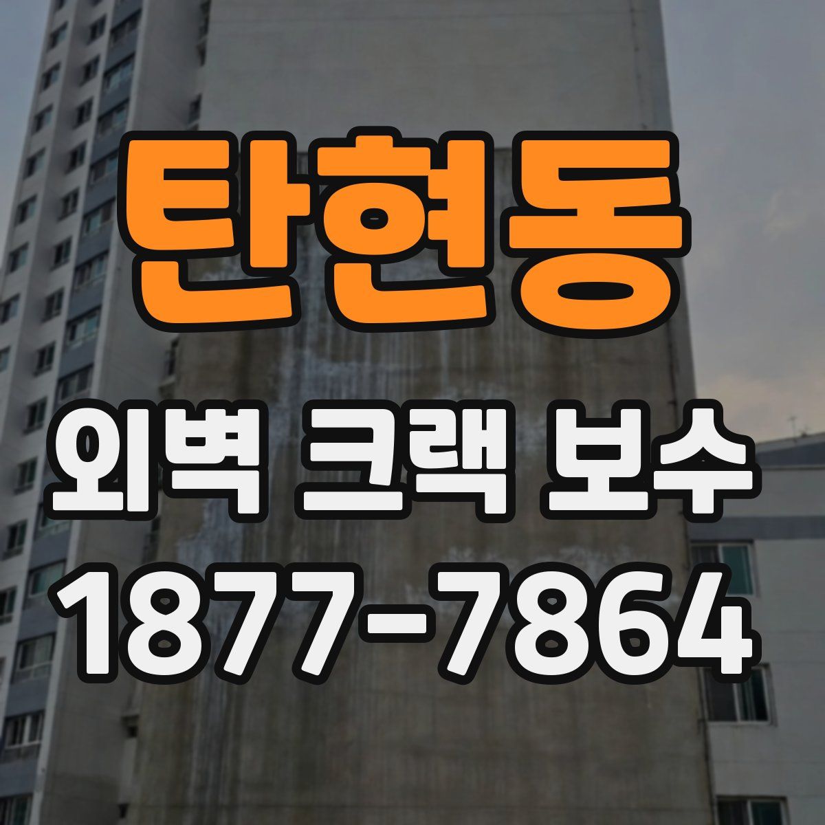 탄현동 외벽 크랙 보수