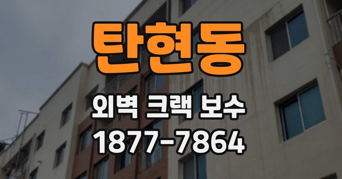 탄현동 외벽 크랙 보수
