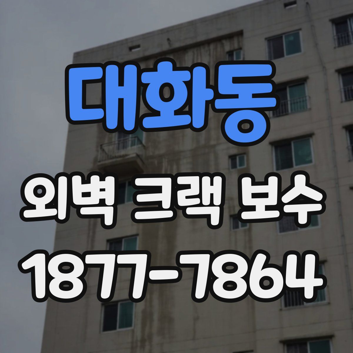 대화동 외벽 크랙 보수