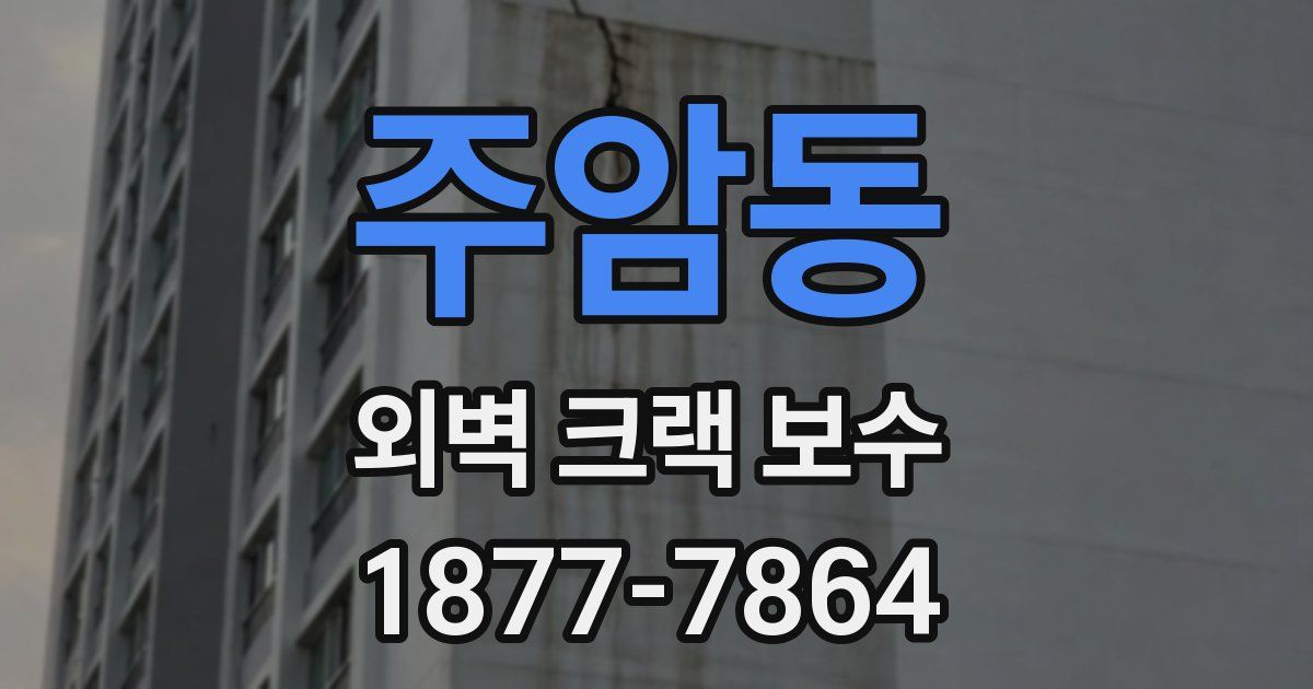 주암동 외벽 크랙 보수
