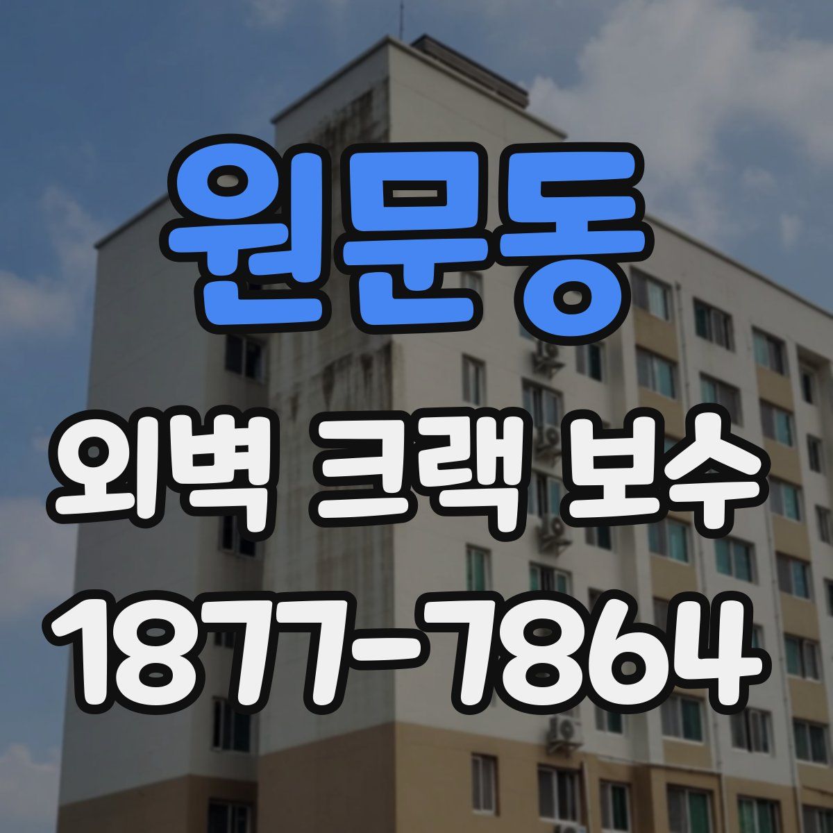 원문동 외벽 크랙 보수