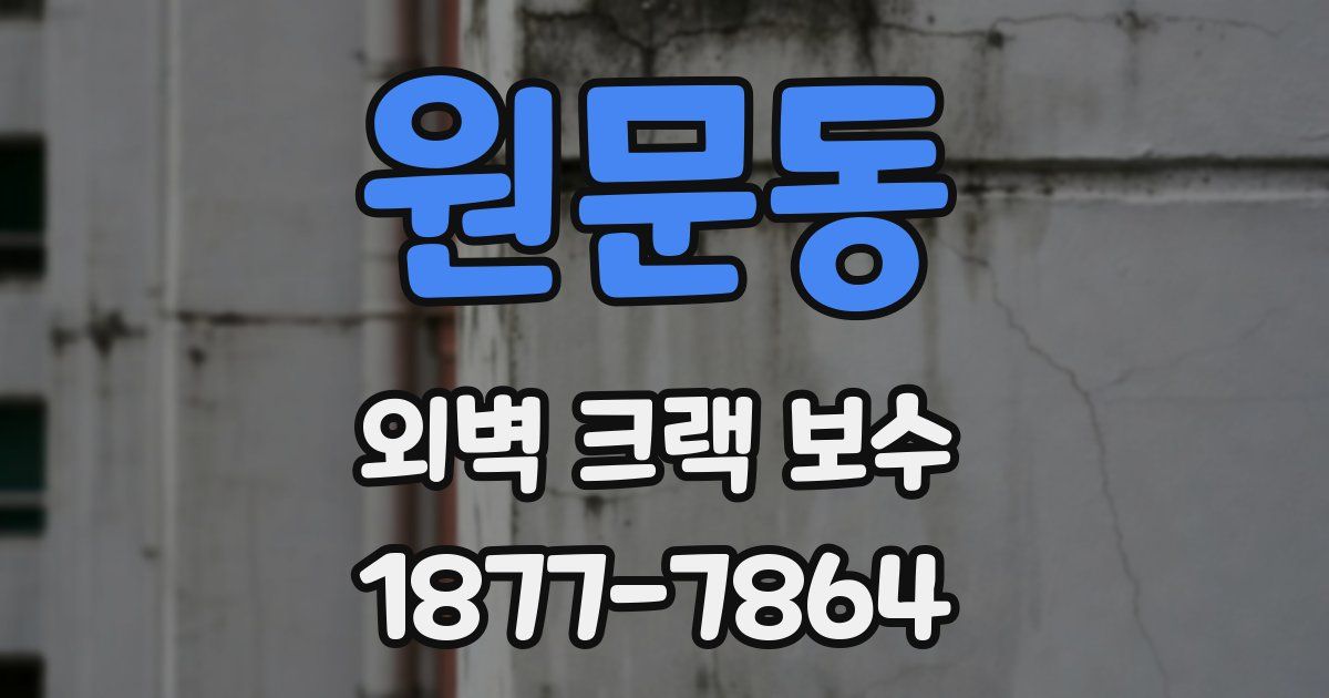 원문동 외벽 크랙 보수