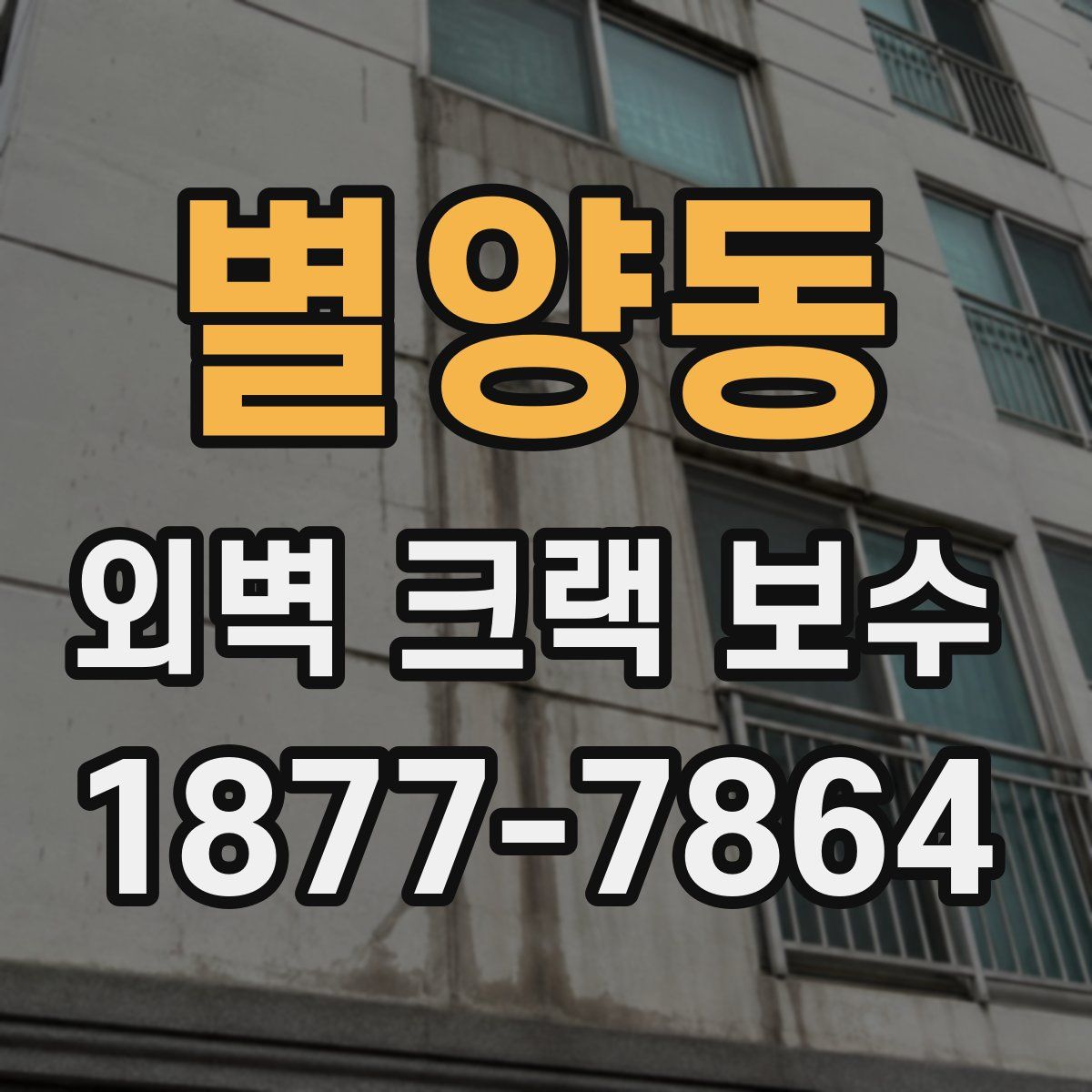 별양동 외벽 크랙 보수