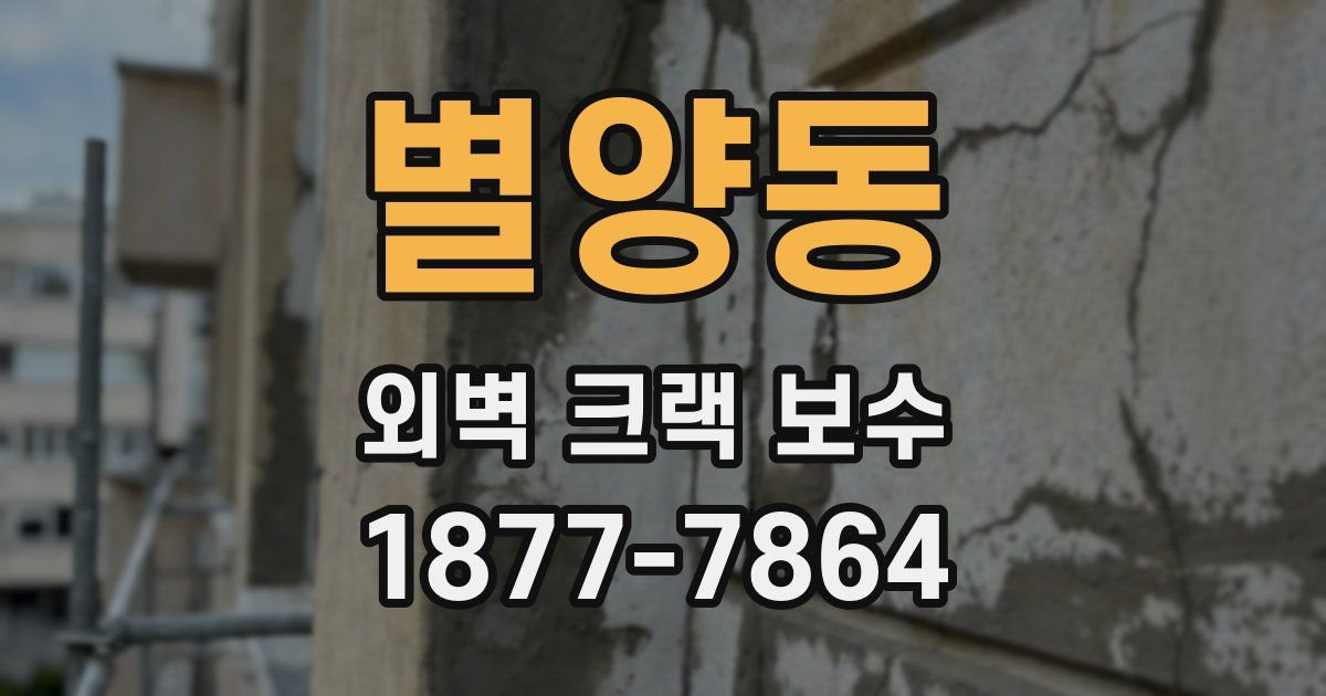 별양동 외벽 크랙 보수