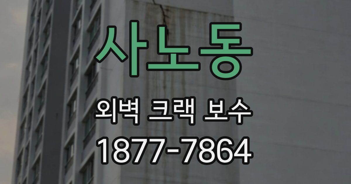 사노동 외벽 크랙 보수