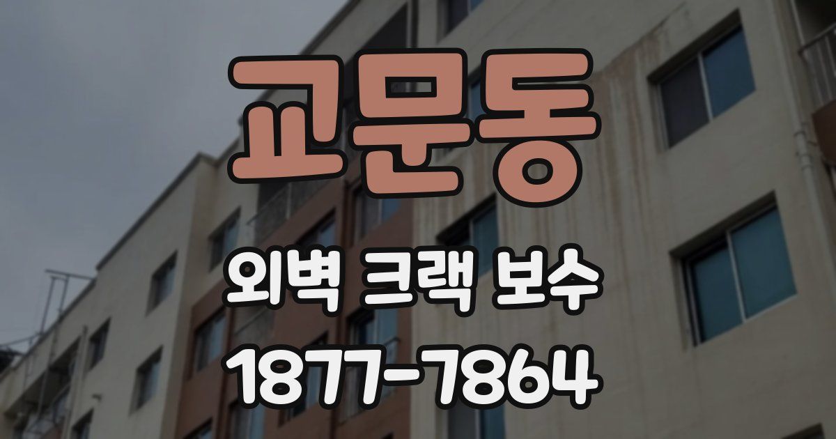 교문동 외벽 크랙 보수