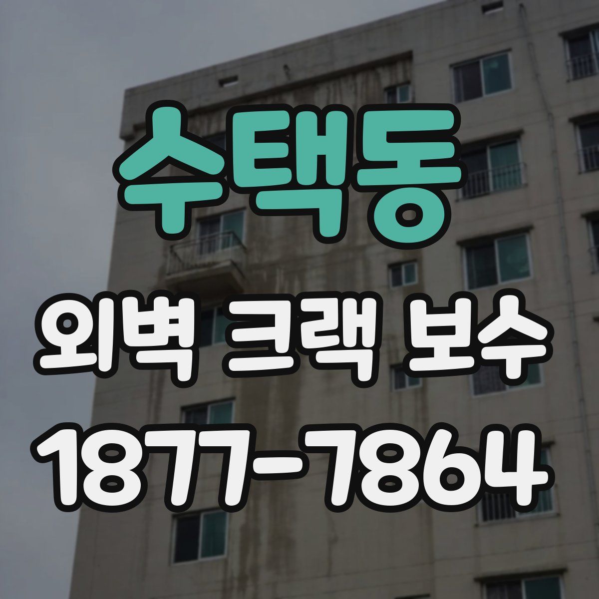 수택동 외벽 크랙 보수