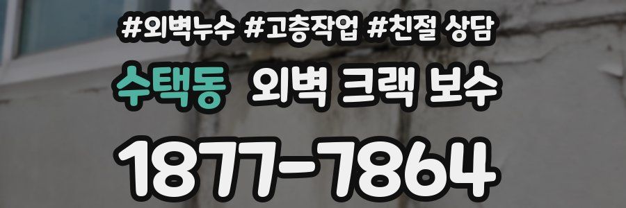 수택동 외벽 크랙 보수