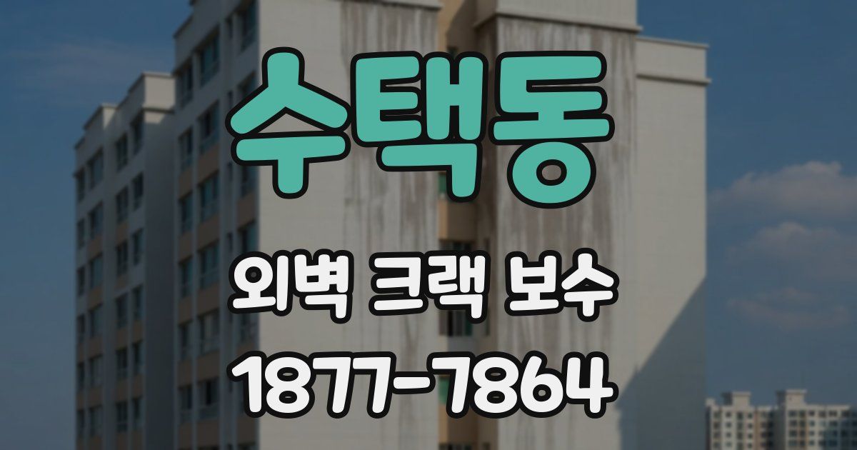 수택동 외벽 크랙 보수