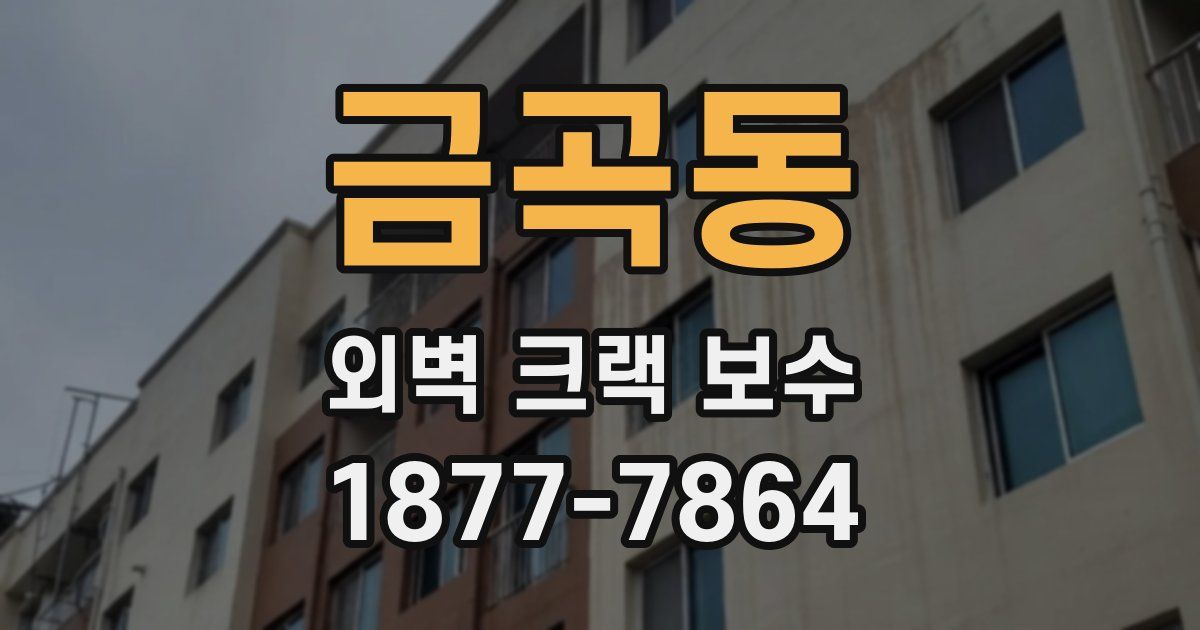 금곡동 외벽 크랙 보수