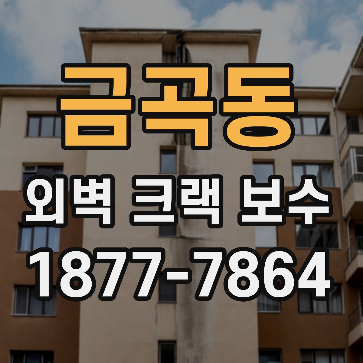 금곡동 외벽 크랙 보수