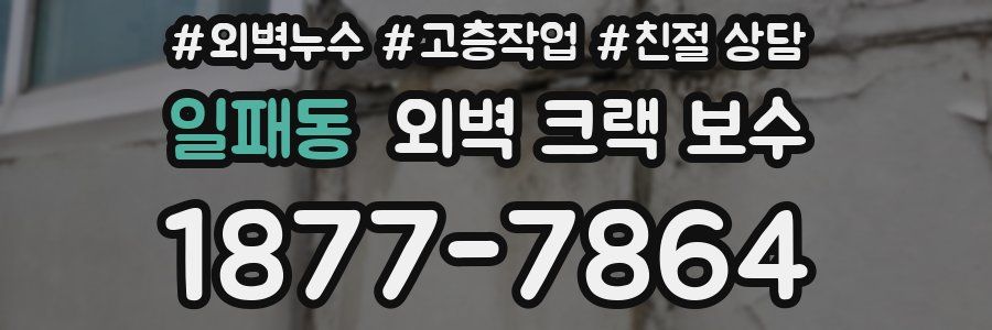 일패동 외벽 크랙 보수