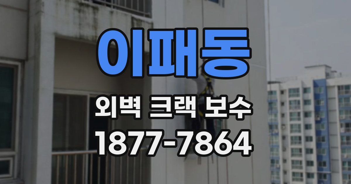 이패동 외벽 크랙 보수