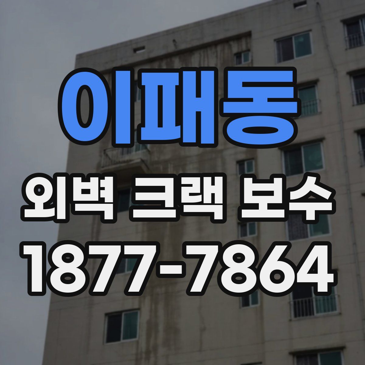 이패동 외벽 크랙 보수