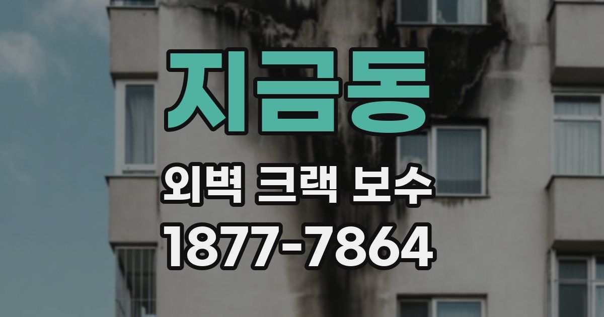지금동 외벽 크랙 보수
