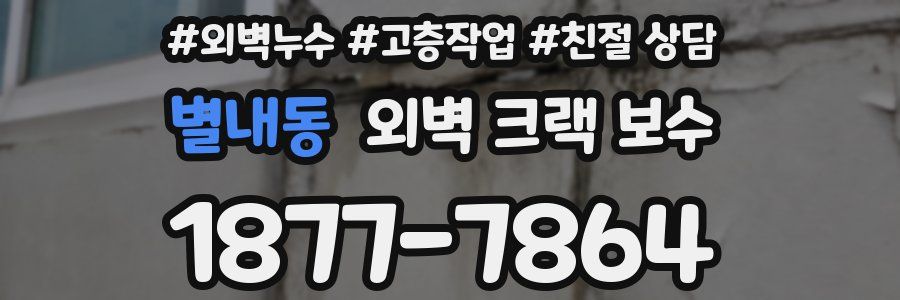 별내동 외벽 크랙 보수