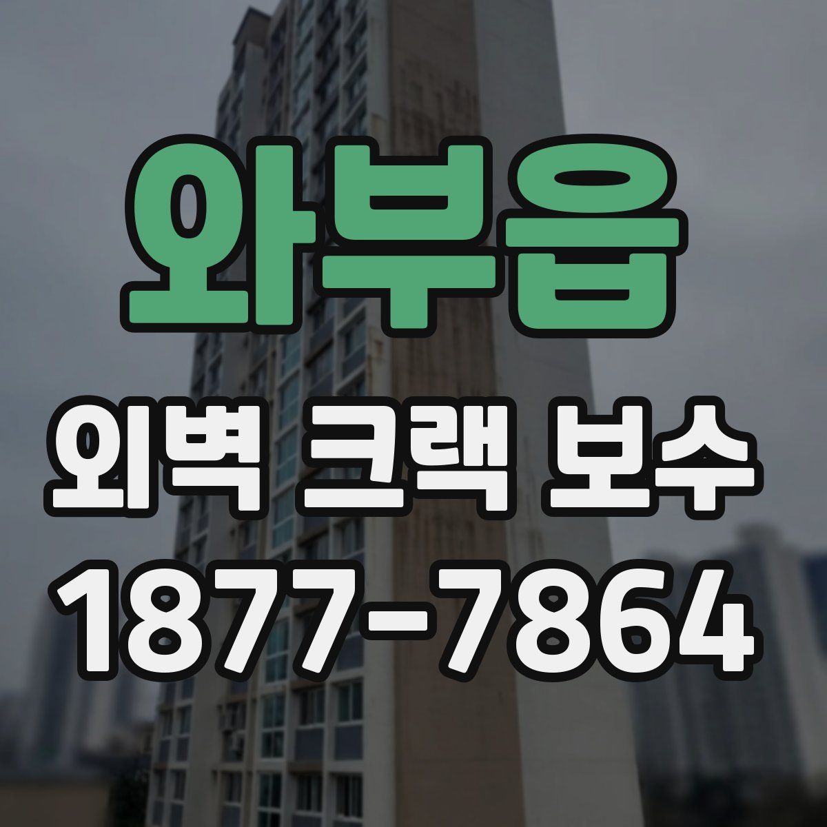 와부읍 외벽 크랙 보수