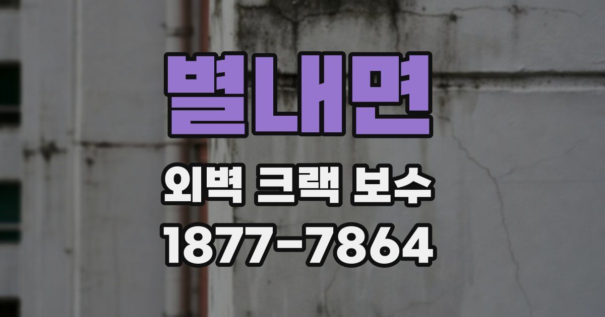 별내면 외벽 크랙 보수