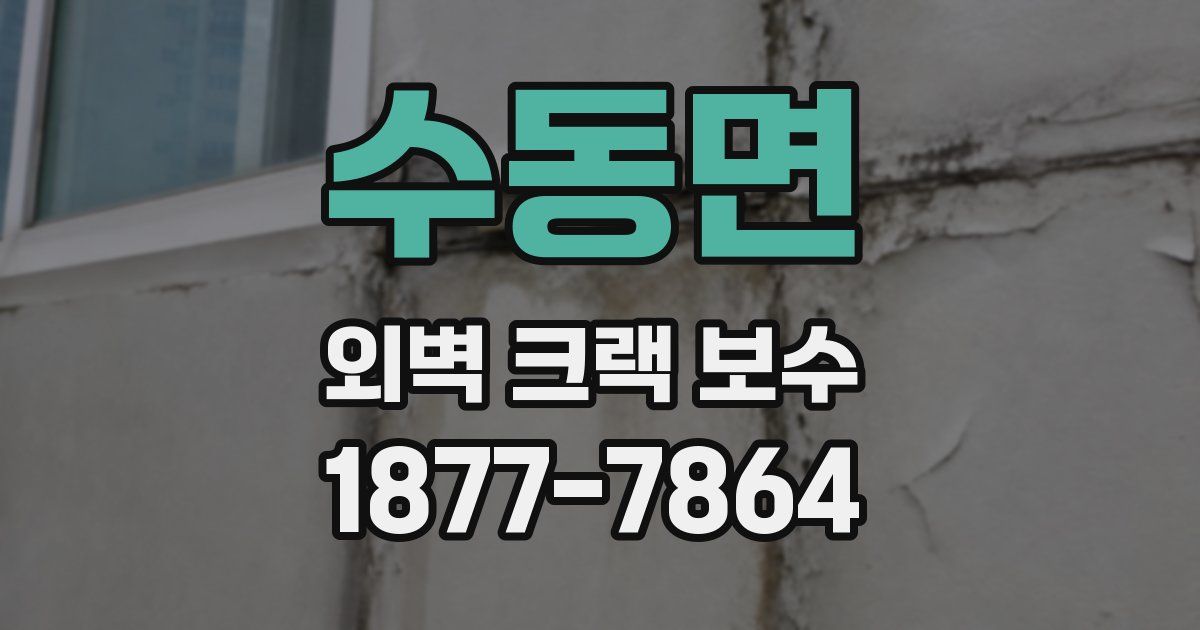 수동면 외벽 크랙 보수