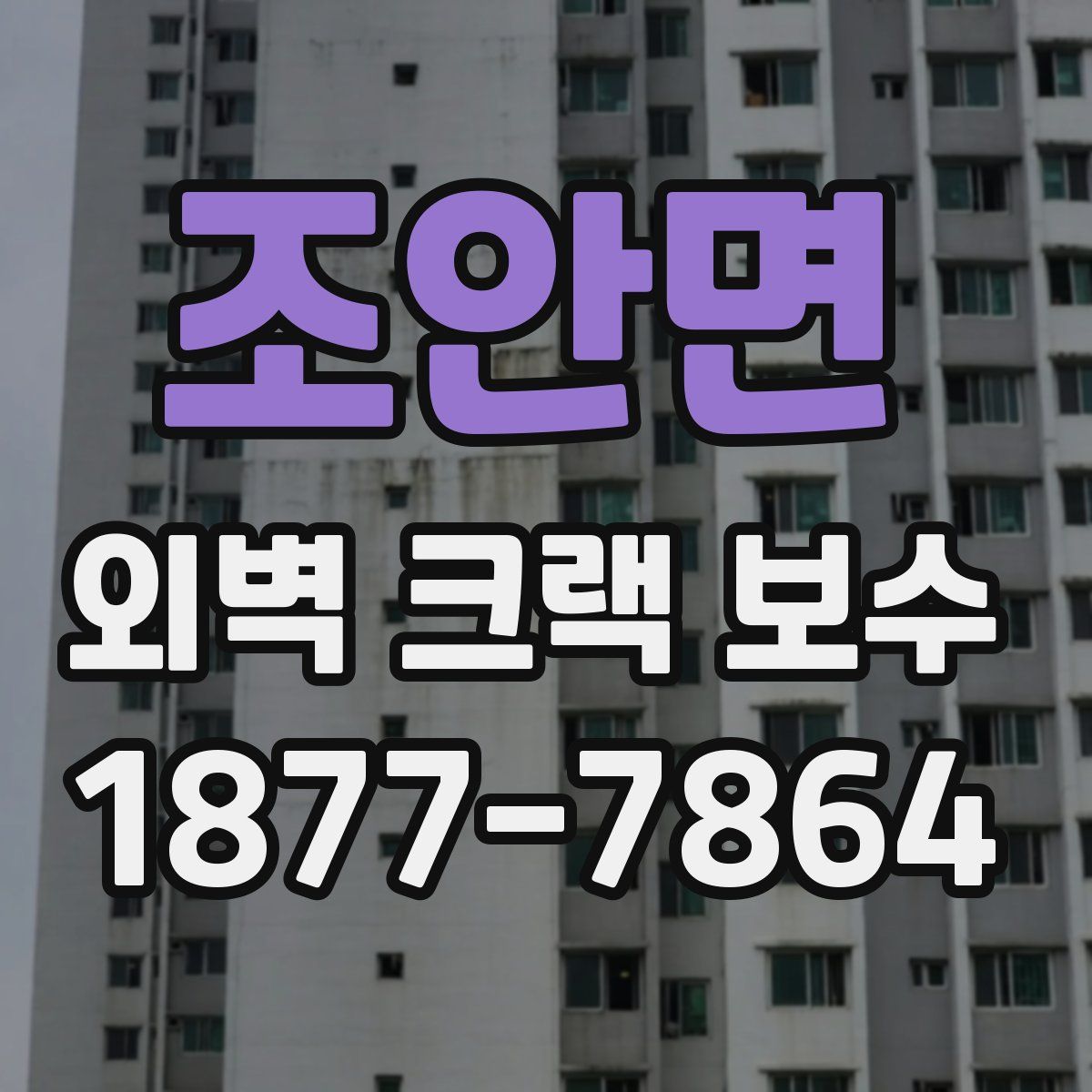 조안면 외벽 크랙 보수