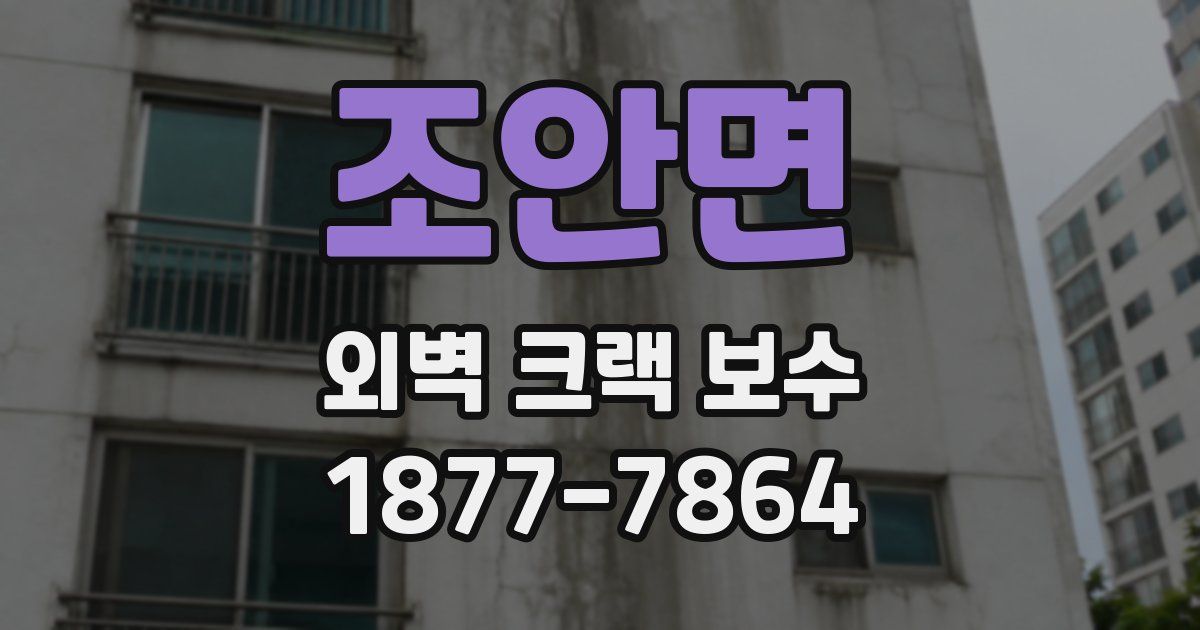 조안면 외벽 크랙 보수