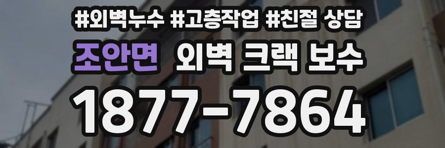 조안면 외벽 크랙 보수
