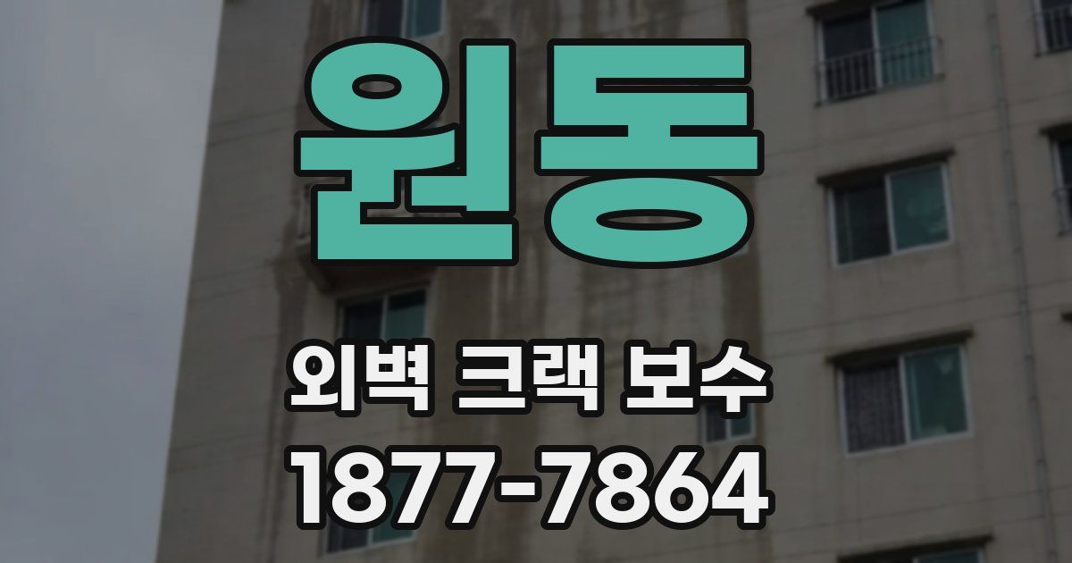 원동 외벽 크랙 보수