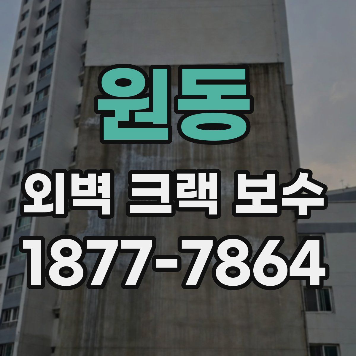 원동 외벽 크랙 보수