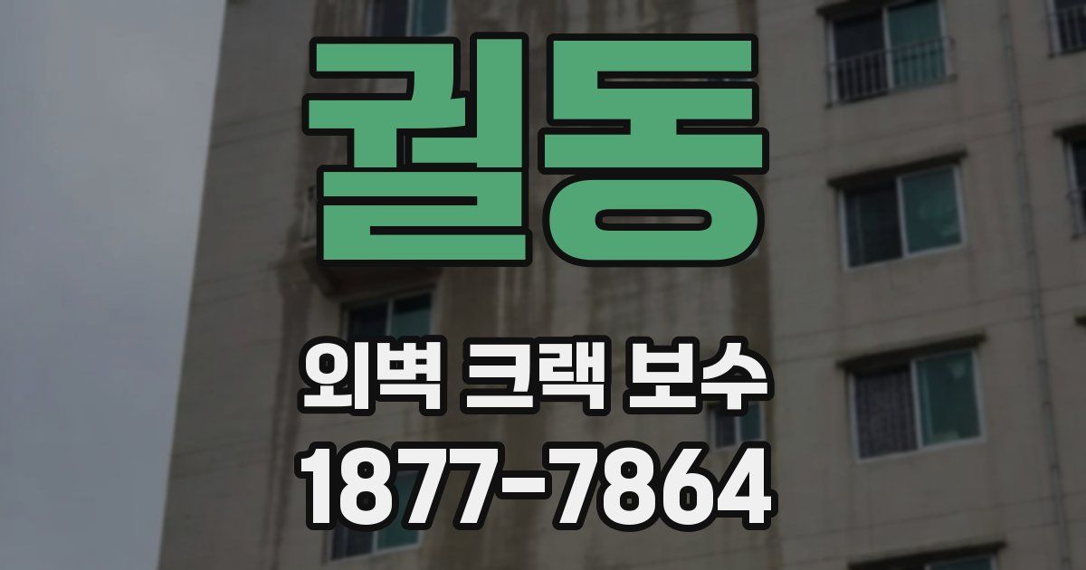 궐동 외벽 크랙 보수