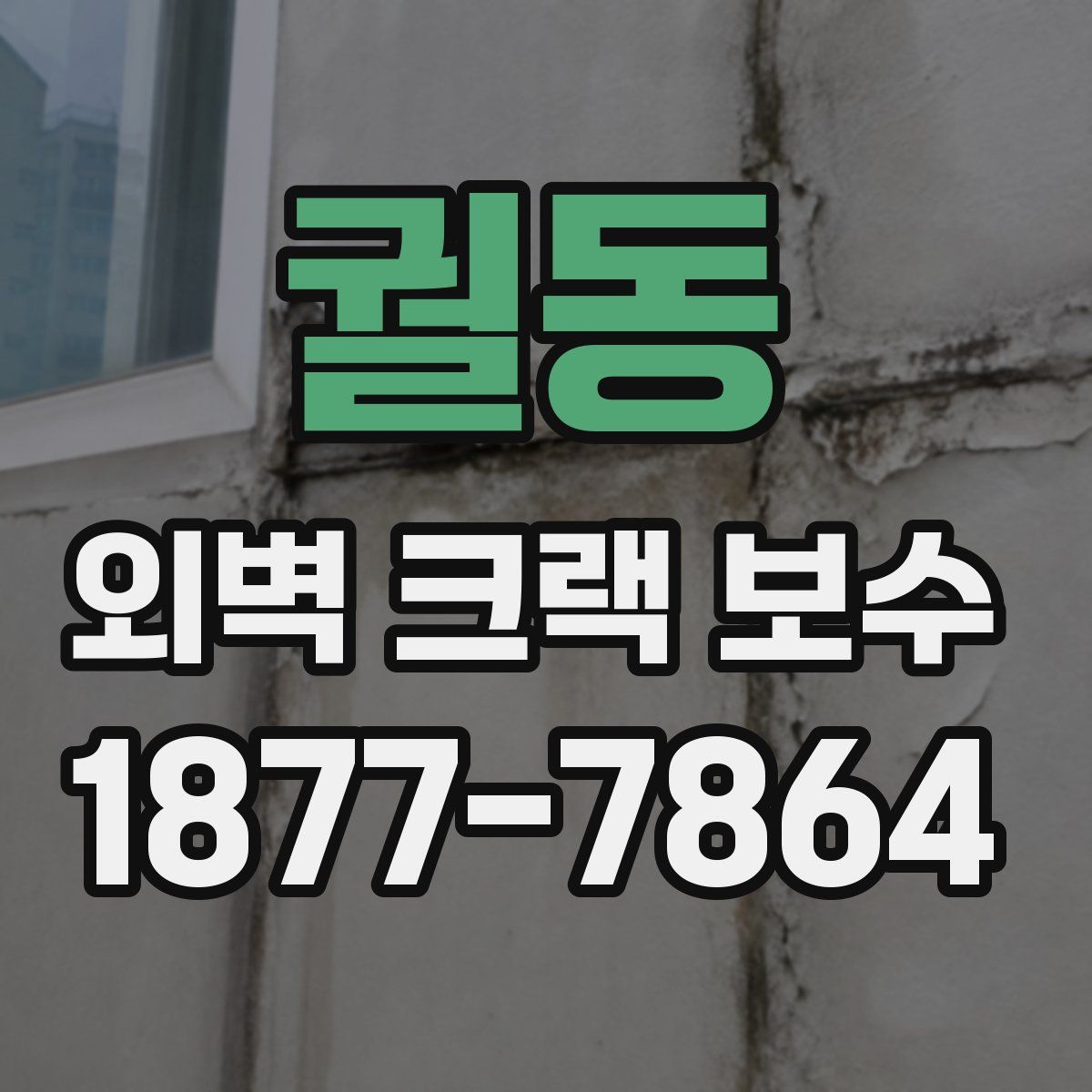 궐동 외벽 크랙 보수