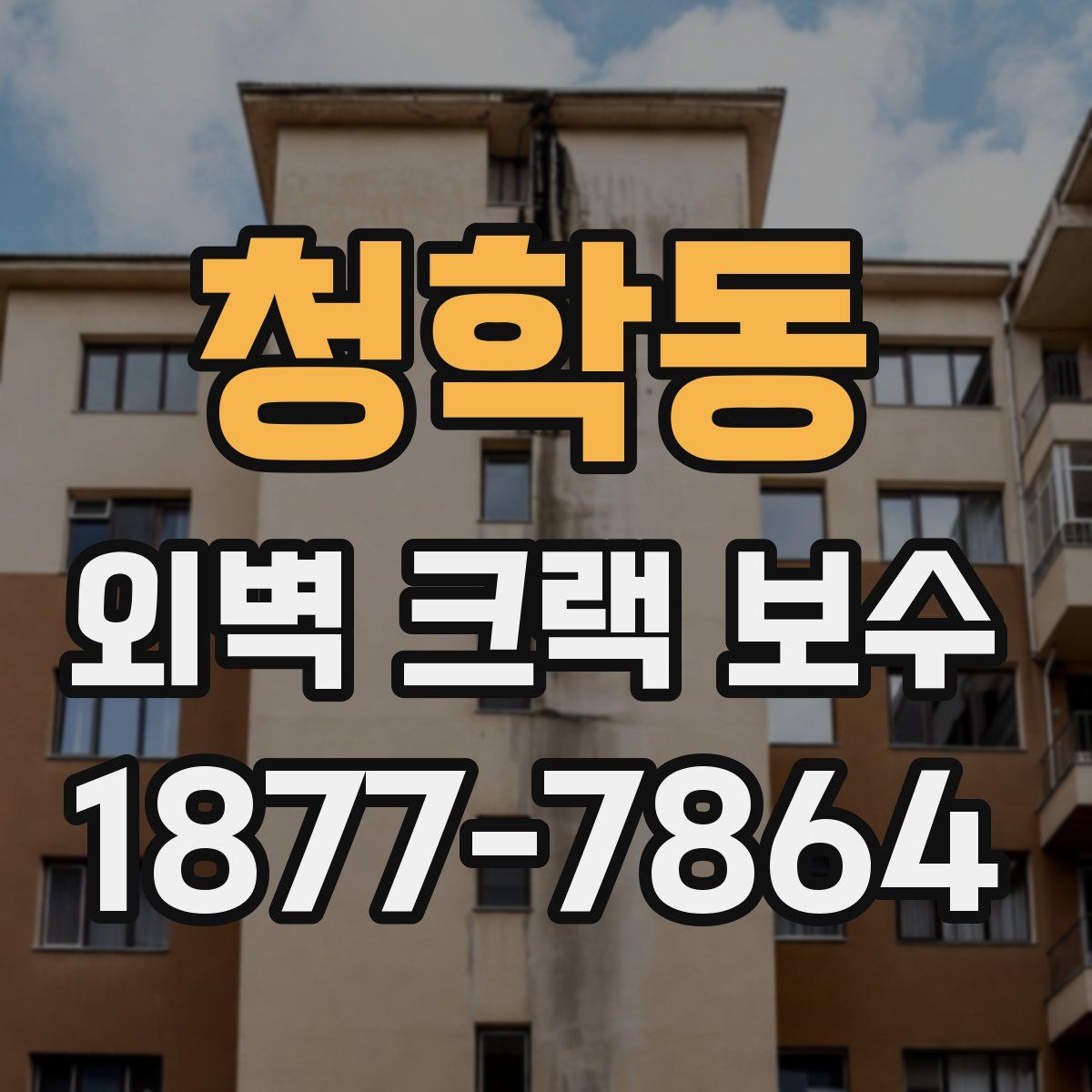 청학동 외벽 크랙 보수