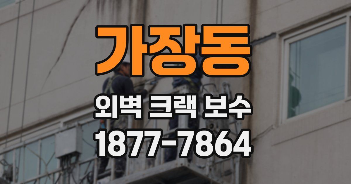 가장동 외벽 크랙 보수