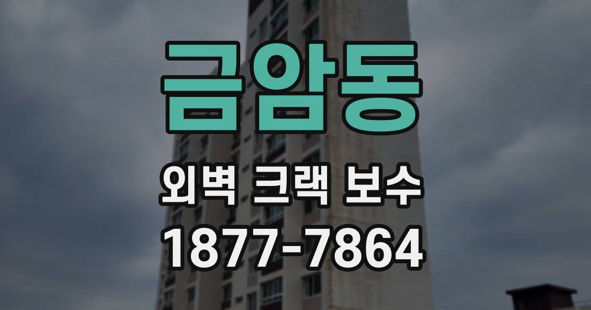 금암동 외벽 크랙 보수
